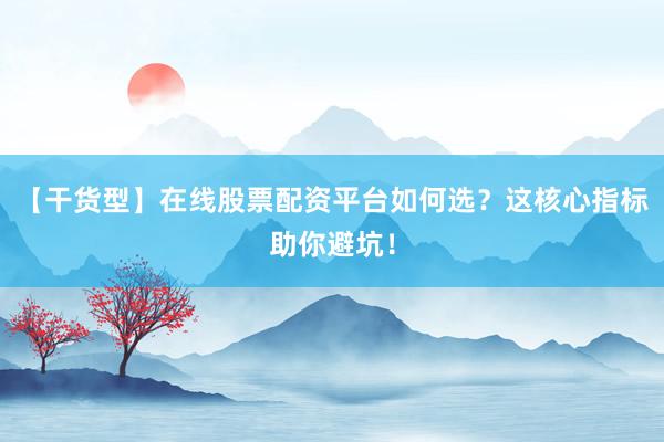 【干货型】在线股票配资平台如何选？这核心指标助你避坑！