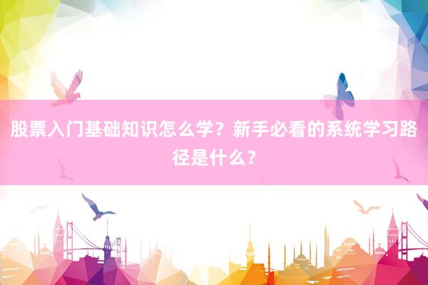 股票入门基础知识怎么学？新手必看的系统学习路径是什么？
