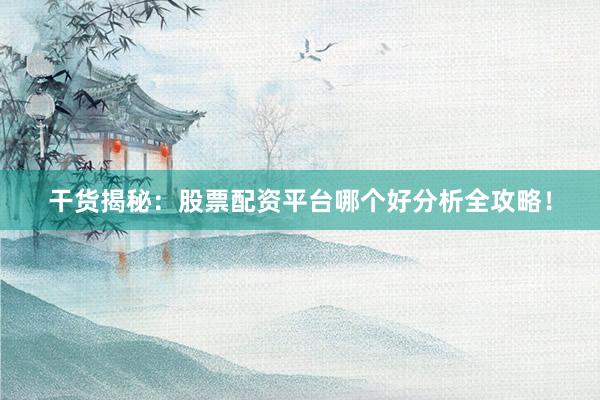 干货揭秘：股票配资平台哪个好分析全攻略！