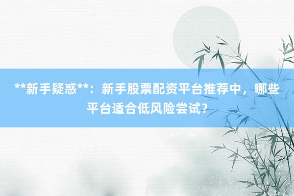 **新手疑惑**：新手股票配资平台推荐中，哪些平台适合低风险尝试？