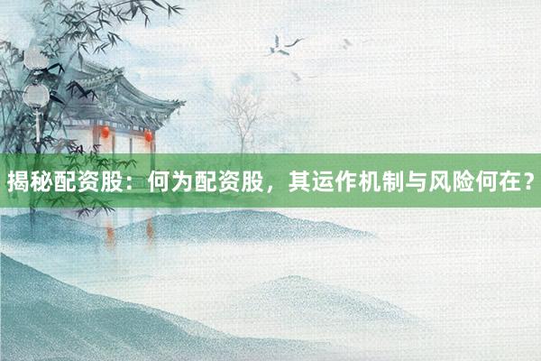 揭秘配资股：何为配资股，其运作机制与风险何在？