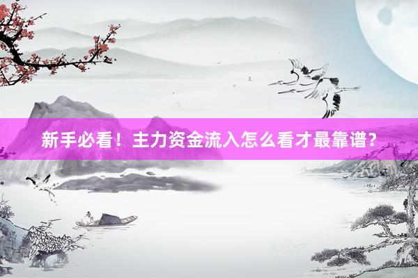 新手必看！主力资金流入怎么看才最靠谱？