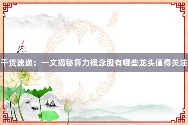 干货速递：一文揭秘算力概念股有哪些龙头值得关注